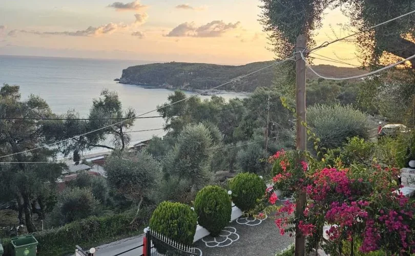 1000028632-1-810x1080